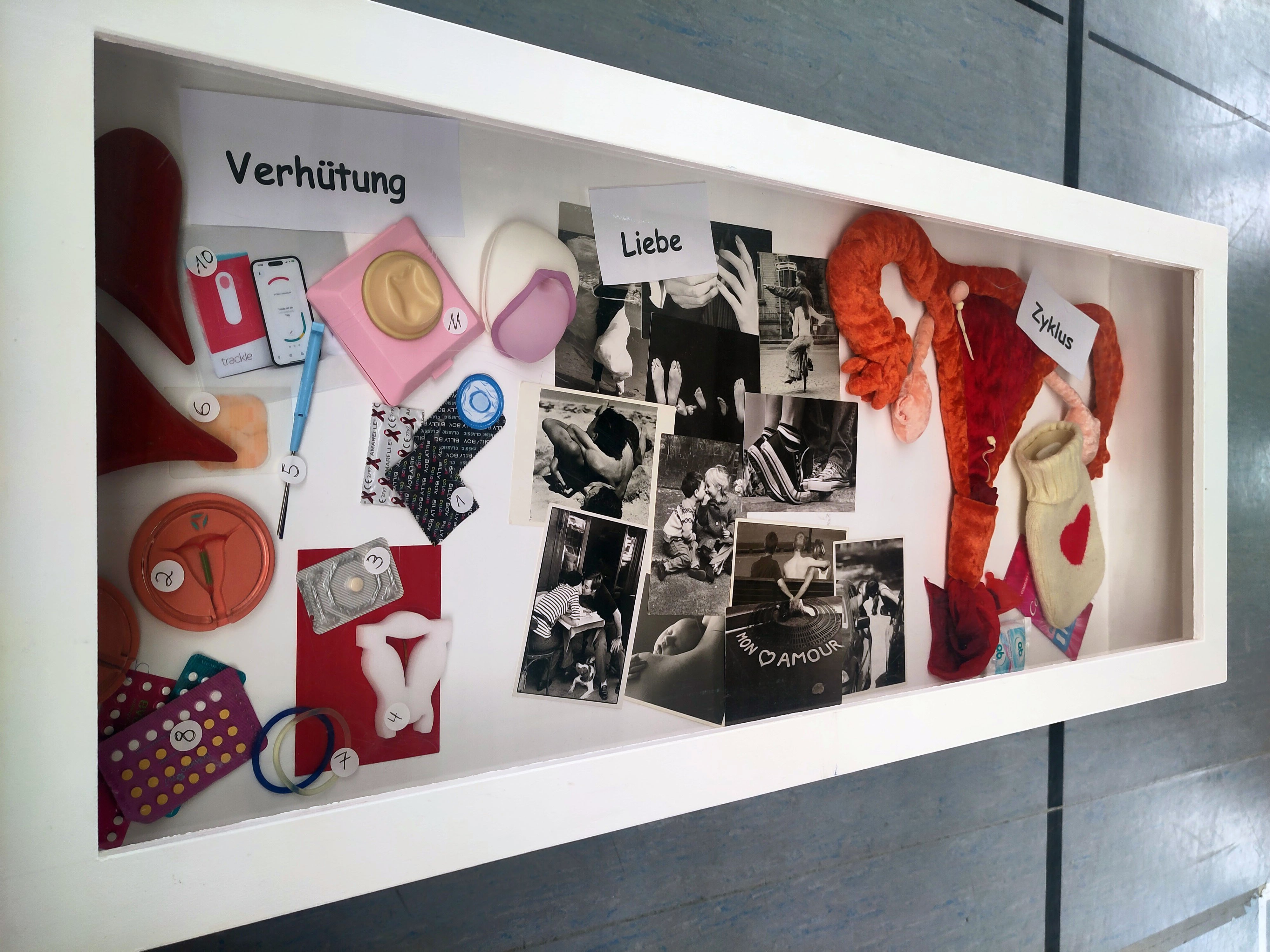 Ein Schaukasten zeigt verschiedene Materialien und Modelle zu den Themen Verhütung, Liebe und weiblicher Zyklus.