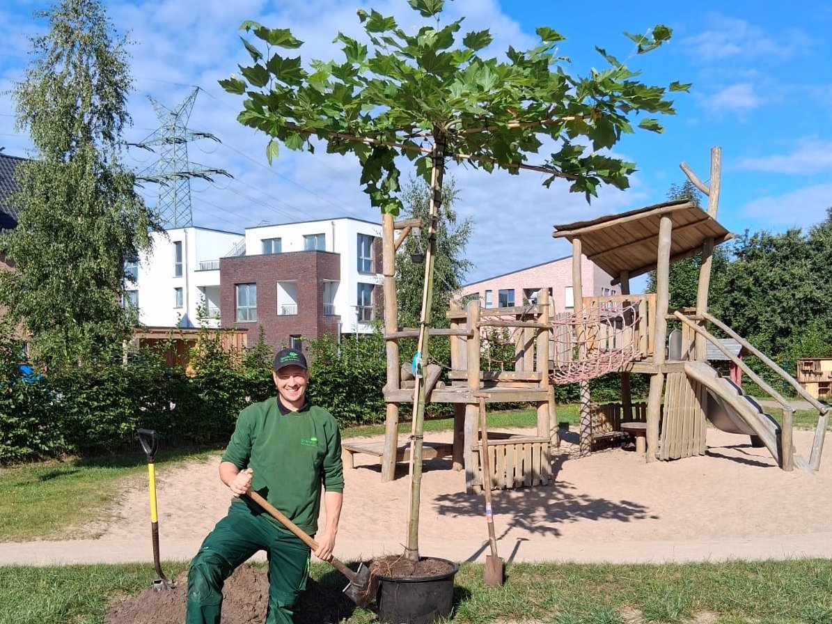 Die Kita Hannah Arendt freut sich über vier gespendete Bäume vom Garten- und Landschaftsbaubetrieb Johannes Speckmann.