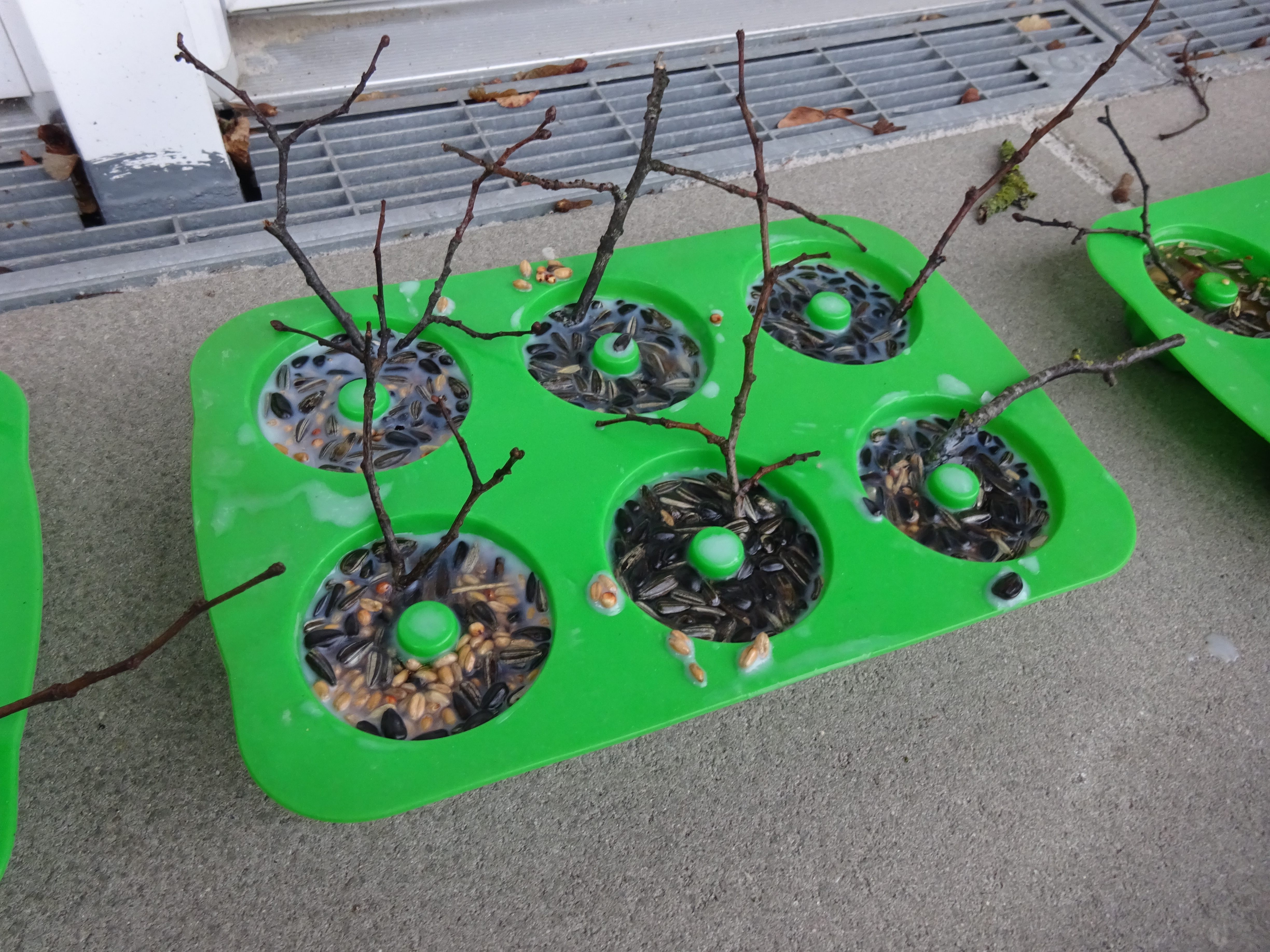 Das Vogelfutter ist bereit zum Aufhängen. Foto: DiKiTa