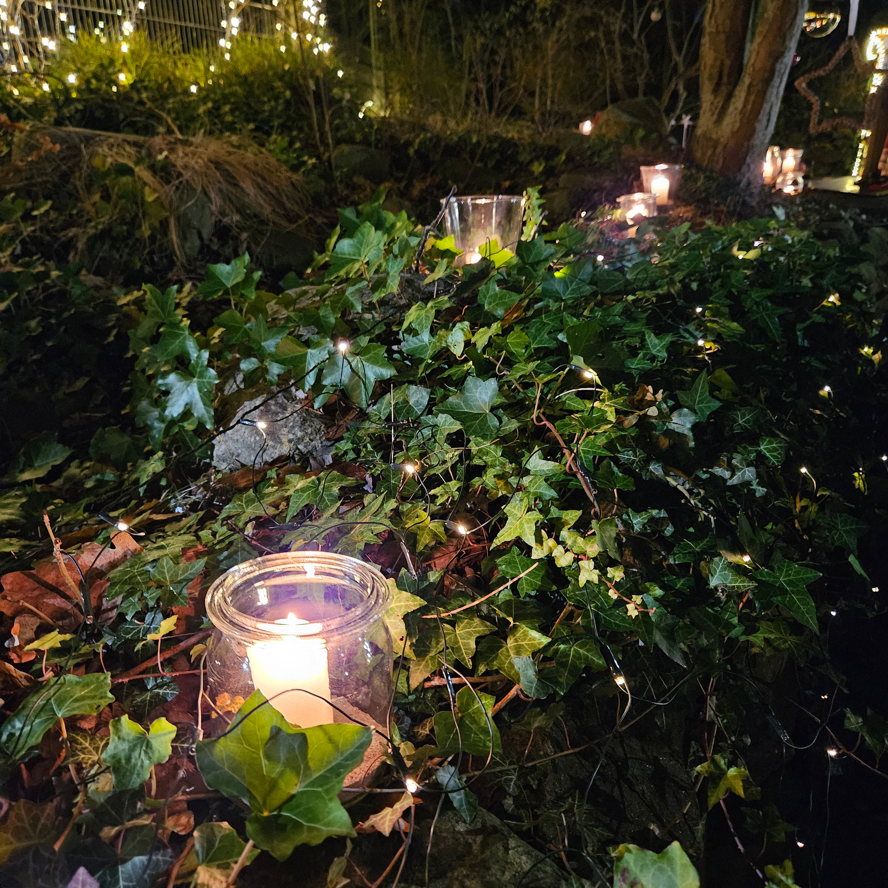 Zauberhaften Gartenbeleuchtung beim Wiehnachtstuun. Foto: PFL